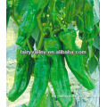 All Varieties Of Excellent Quality Bell Peppers Seeds For Planting-Delicious and Crisp